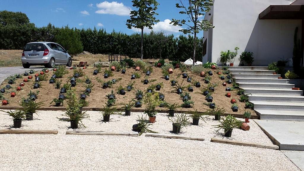 Trabajo de Jardinería F.Somolinos en Galapagar