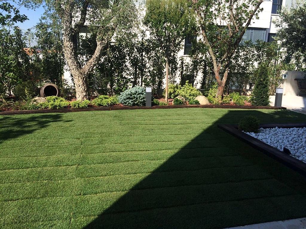 Trabajo de Jardinería F.Somolinos en Galapagar
